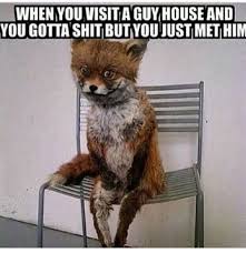 Pin By Jessica Millis On Fuunny Fox Memes Funny Qotes 10 Funniest