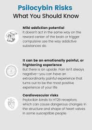 However, if you regularly stumble over psilocybin, there may be traces of fungus in your system for up to three days. Psilocybin Magic Mushrooms Faqs Benefits Risks