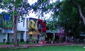 419, sector el millón ii. El Valor De La Cinemateca Para La Sociedad I Nota Clave De Alfonso Quinones