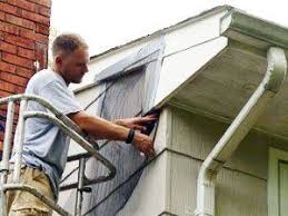 But don't seal these places just yet; Pin On Bat Removal