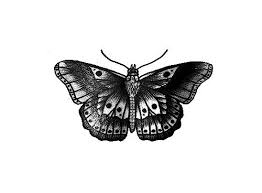 Black And White Harry Styles Butterfly Tattoo Empty Swimming Pool Harry Styles Butterfly One Direction Tattoos Harry Styles