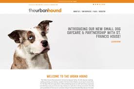 I work with families in the comfort of their home, alleviating stress by providing veterinary nursing care, knowledge and support. 19 Best Pet Care Websites Design Inspiration 2020 Colorlib