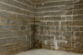 Il voudrait que je participe à [ ! Realiser L Etancheite D Un Mur Enterre Murhumide Fr