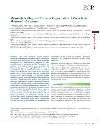 In animal cells these enzymes are localized in the lysosome. Https Academic Oup Com Pcp Article Pdf 50 4 855 17111906 Pcp031 Pdf