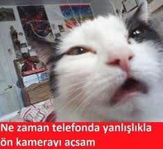 Krize Sokan Kedi Capsleri Kizlarsoruyor Komik Goruntuler Komik Deyisler Komik Seyler