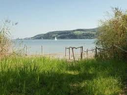 Eigener Badeplatz Ferien Ferienhaus Bodensee Ferienhaus Am See Deutschland