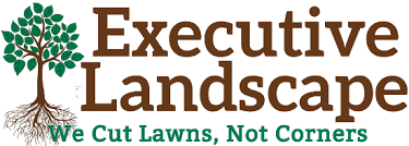 Our professional landscapers can bring the dreams you have for your yard compared to lawn care, landscaping is much more complex. Executive Landscape We Cut Lawns Not Corners