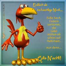 Guten morgen bilder und sprüche kostenlos lustige bilder mit guten morgen grüßen sind guten abend bilder. Gute Nacht Lustig Gif Kostenlos