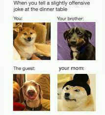43 Memes That Will Only Be Funny If You Have A Pet Funny Memes Funny Relatable Memes Funny Animal Memes