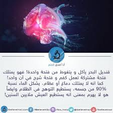 معلومات علمية مفيدة ملتقي مقاومي التنصير Arabic Quotes Ullo Quotes