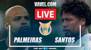 O santos enfrenta o palmeiras neste sábado, 28 de fevereiro, às 16h00, na vila belmiro, em santos, são paulo, pelo campeonato paulista. Oxxpldv Hwn1rm