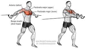 cable cross over exercise instructions and video weight