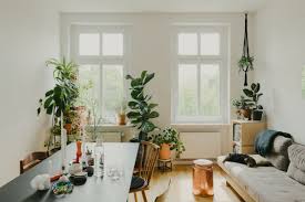 It costs next to nothing, especially if you already have a plant pot in mind and a test pot of paint. Plant Decor Ideas For The Living Room Bedroom And More Curbed