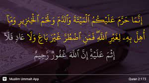 Surat al baqarah ayat 183 adalah ayat al quran yang berisi kewajiban manusia untuk berpuasa. Al Baqarah Ayat 173 Youtube