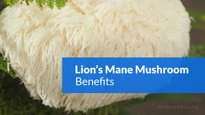 Lion's mane is a charming, almost otherworldly mushroom that may look alien but contains some of the best medicinal compounds of any food on earth. Lion S Mane Mushroom Benefits For Brain And Side Effects Evidencelive