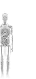 Temporary loss of taste or smell. Could My Symptoms Be Covid 19 The New York Times