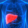 Sedangkan yang penyakit hati kronis yaitu hepatitis kronis, sirosis hati, dan hepatoma. 1