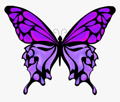 Butterflies Drawing Color Silhouette Butterfly Vector Png Transparent Png Transparent Png Image Pngitem Polish your personal project or design with these butterfly transparent png images, make it even more personalized and more attractive. silhouette butterfly vector png