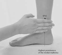 Top 12 Acupressure Points To Optimize Your Health