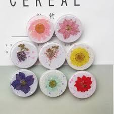 Few crafts have been done as long as drying flowers. Home Arts Crafts Small Dried Flowers Pressed Flower Diy Preserved Decoration Home Mini Accessory Crafts Constructoravigil Com