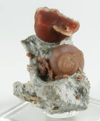 Image result for Colorado Agate 1956 Wayne Works