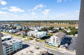 Image result for Atalaya