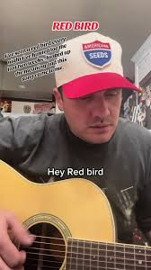 I’ve seen a red bird every night I’ve hunted for the last two weeks..  looked up the meaning and this song came to me. #original #songwriter  #redbird #burds #spiritual #spirituality