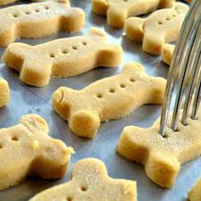 Cleo S Pumpkin Dog Biscuits Recipe Dog Biscuit Recipes Healthy Dog Biscuits Dog Treat Recipes
