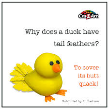 Birds Of The Same Feather Joke Funny Kid Friendly Jokes Good For The Whole Family Duck Quack Kid Friendly Jokes Jokes For Kids Art Jokes