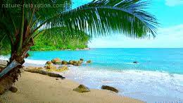 In this article, i'll share 50 examples of zoom virtual backgrounds that have been created with this free zoom virtual background maker tool. Top 30 Beach Background Gifs Find The Best Gif On Gfycat