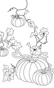 Coloring pages to inspire children learning about china. Pumpkin Vine Coloring Page