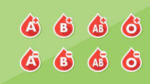 We did not find results for: Orang Dengan Golongan Darah O Risiko Kena Covid 19 Lebih Rendah Health Liputan6 Com