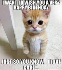 Maybe you would like to learn more about one of these? Cat Memes Happy Birthday Cat Memes Funny Cat Memes Pictures Everywishes