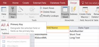 Hide The Ribbon When Launching Ms Access Database Access Database Tool Design Database