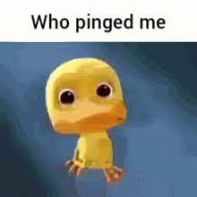 Who Pinged Me Discord Ping Gif Who Pinged Me Ping Discord Ping Discover Share Gifs