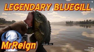 I fishing lite is a comprehensive fishing game where you have to do more than just cast a line and try to catch the biggest fish. Red Dead Redemption 2 It Was This Big How To Unlock Special Lures Youtube