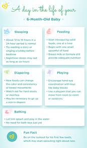 Bathing your baby too much can dry out his or her skin. 6 Month Old Baby Milestones Weight And Feeding Pampers