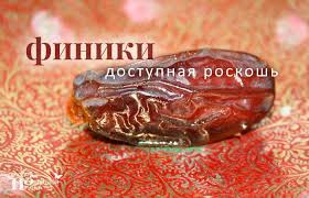 Результат пошуку зображень за запитом "финики"