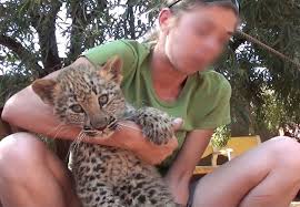 Leopards can climb and make sounds roblox testing a updates. Petting A Lion Cub Is A Really Bad Idea This Is Why News24