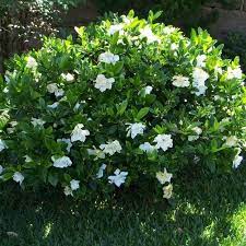Pin On Country House Garden