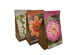 Buy from a trusted uk supplier, crocus. Wholesale Flower Bulbs Gedney Bulb