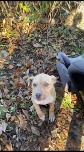 Saginaw Helps Saginaw