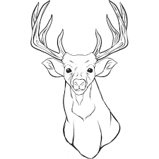 These pages will be loved by kids. When We Talk About Deer Coloring Pages Printable Below We Can See Several Variation Of Images T Deer Coloring Pages Animal Coloring Pages Skull Coloring Pages