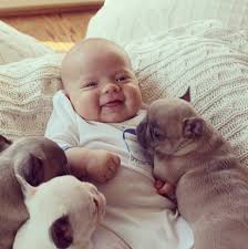 Omg Cute Alor French Baby French Kissing French Bulldogs Omg Blog