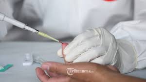 Berapa Lama Masa Berlaku Surat Keterangan Hasil Rapid Dan Pcr Tes Ini Penjelasannya Tribunnews Com Mobile