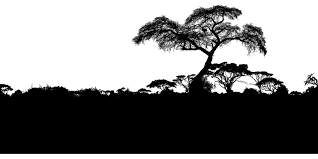 Maybe you would like to learn more about one of these? Africa Forest Silhouette Free Vector Graphic On Pixabay