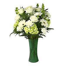 We did not find results for: Saint Patrick Day Flowers Green Irish Bouquet White Roses Gypsophila Globalrose