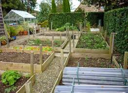 Membuat kebun di lahan rumah anda tentu tidak sulit dilakukan, bahkan anda bisa menggunakan barang yang ada di sekitar. Populer Membuat Kebun Sayur Di Pekarangan Rumah Taman Minimalis Terupdate