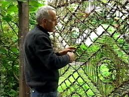 Una navata della cattedrale vegetale di giuliano mauri, 2001. Giuliano Mauri Cio Che Faccio E Vivere Groworking