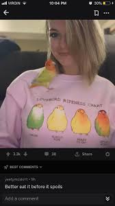 Pin By Rylee Kocks On Funny Funny Relatable Memes Stupid Funny Memes Stupid Memes